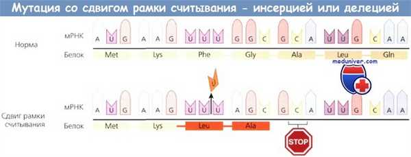 Мутация со сдвигом рамки считывания