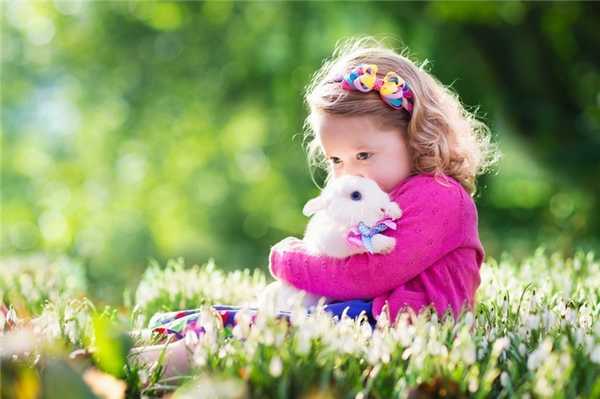 shutterstock_373592836.jpg