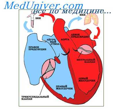 клиника коарктации аорты