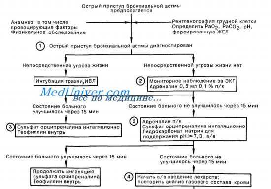 Неотложная помощь. Лечение астматического статуса 1 стадии
