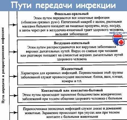 Пути передачи инфекции