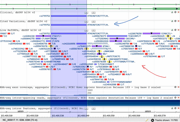 Небольшой участок человеческого генома, в районе гена ACE1