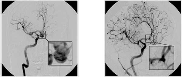 74875986748576485678457