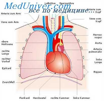 трансперикардиальная перевязка сосудов