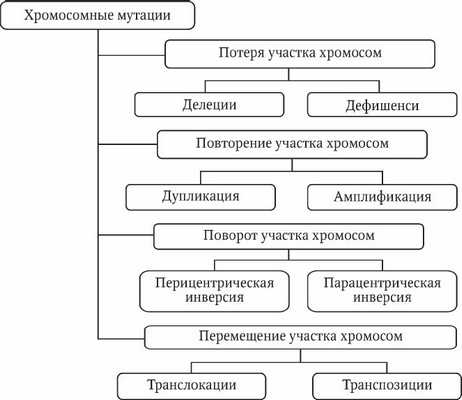классификация хромосомных мутаций