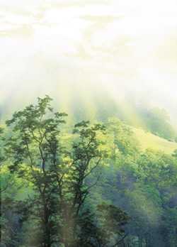 Фото: www.sciam.ru