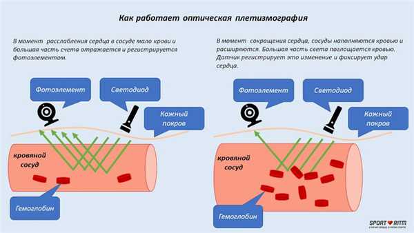 Оптическая плетизмография