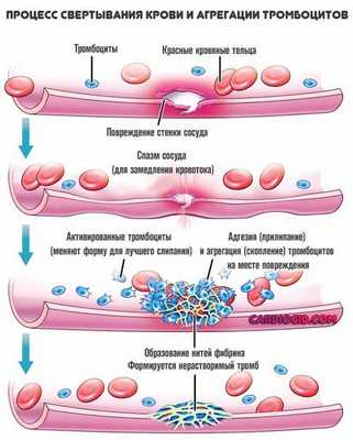 агрегация-тромбоцитов