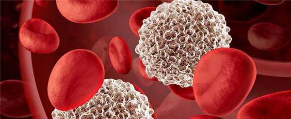 Анализ крови на лейкоциты