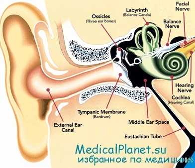 феномен ускорения громкости