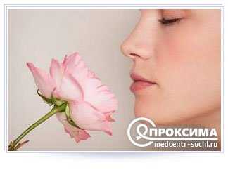 Исследование обоняния