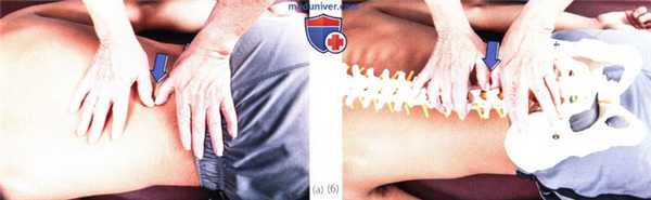 Исследование подвижности пояснично-крестцового отдела позвоночника