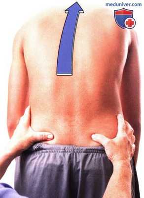 Исследование подвижности пояснично-крестцового отдела позвоночника