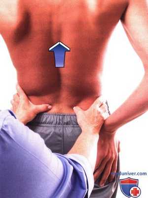 Исследование подвижности пояснично-крестцового отдела позвоночника