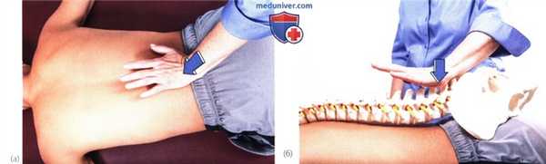 Исследование подвижности пояснично-крестцового отдела позвоночника