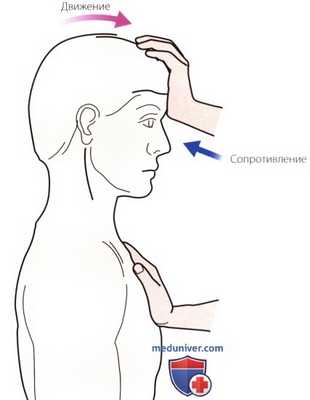 Тесты на сопротивление в шейном и грудном отделах позвоночника