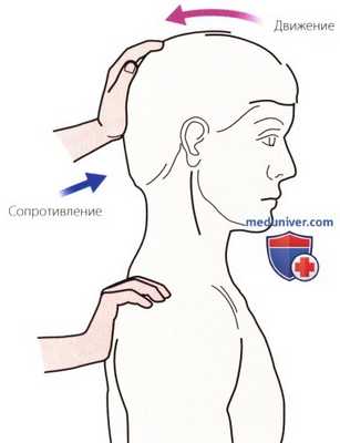 Тесты на сопротивление в шейном и грудном отделах позвоночника