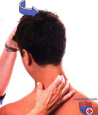 Исследование подвижности в шейном отделе позвоночника