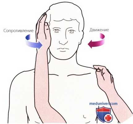 Тесты на сопротивление в шейном и грудном отделах позвоночника
