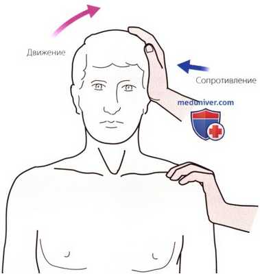 Тесты на сопротивление в шейном и грудном отделах позвоночника
