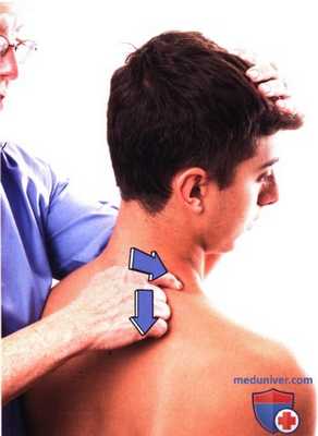 Исследование подвижности в шейном отделе позвоночника