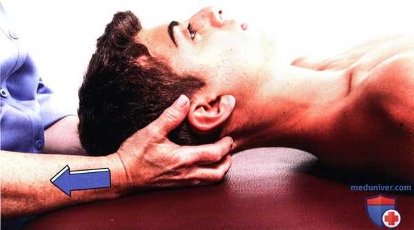 Исследование подвижности в шейном отделе позвоночника