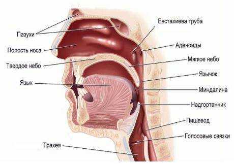 Положение пациента при исследовании на компьютерном томографе