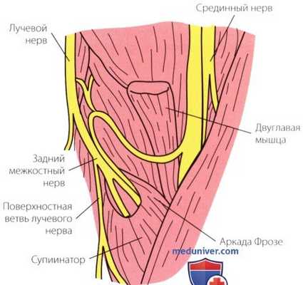 Неврологическое исследование локтевого сустава