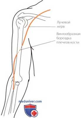 Неврологическое исследование локтевого сустава