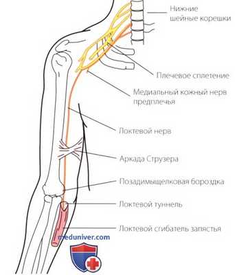 Неврологическое исследование локтевого сустава