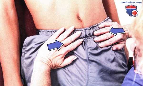 Исследование состояния крестцово-подвздошного сочленения