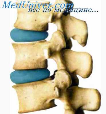 подвздошно-крестцовые сочленения