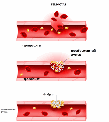 гемостаз.png