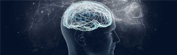 Вызванные потенциалы