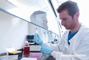 Анализ крови