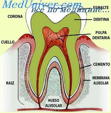 начальный кариес