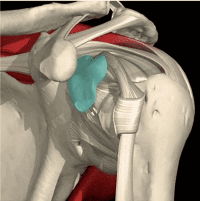 реабилитация