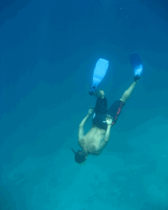 фридайвинг