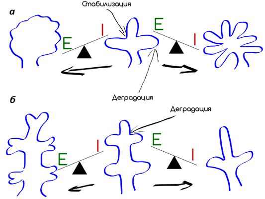 «Разветвление» эпителия