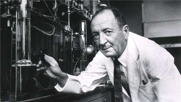 Перемены на Западном фронте: история химиотерапии