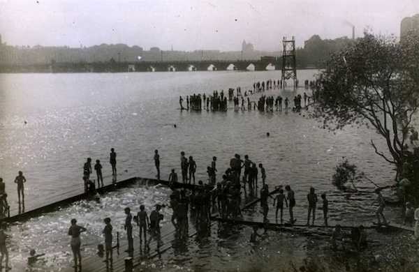 спортивное сообщество дельфин