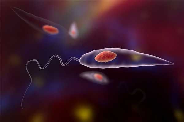 Висцеральный лейшманиоз