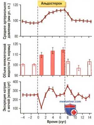 Лукьянов Сергей Анатольевич, хирург-эндокринолог, детский онколог, онколог - Челябинск