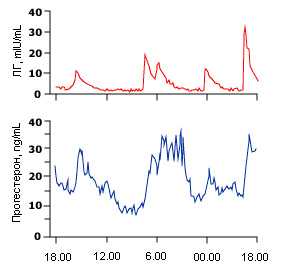 Рис.6. Колебания ЛГ стимулируют высвобождение прогестерона в среднюю лютниновую фазу