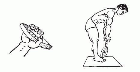 Динамометрия