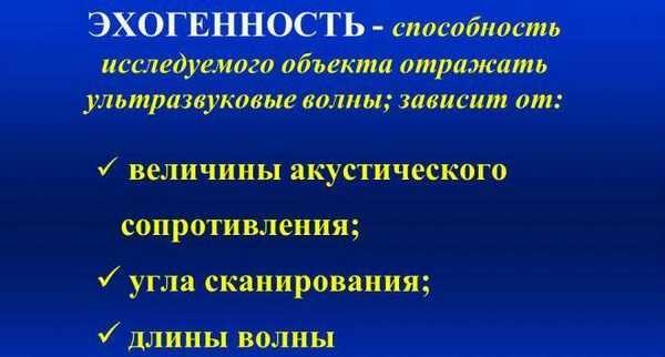Эхогенность