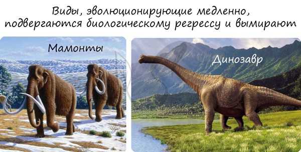 Биологический регресс