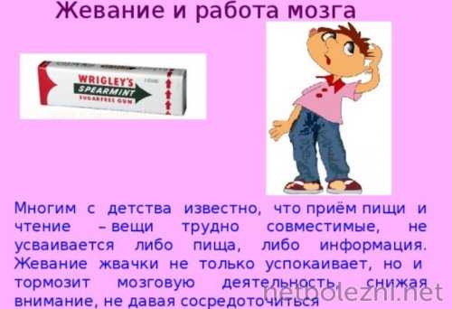 Жвачка и мозг