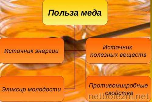 Чем полезен мед