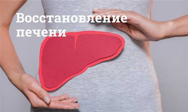Восстановление печени